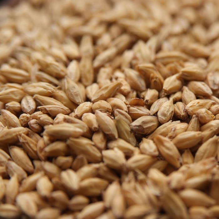 rahr-alix-craft-2-row-malt