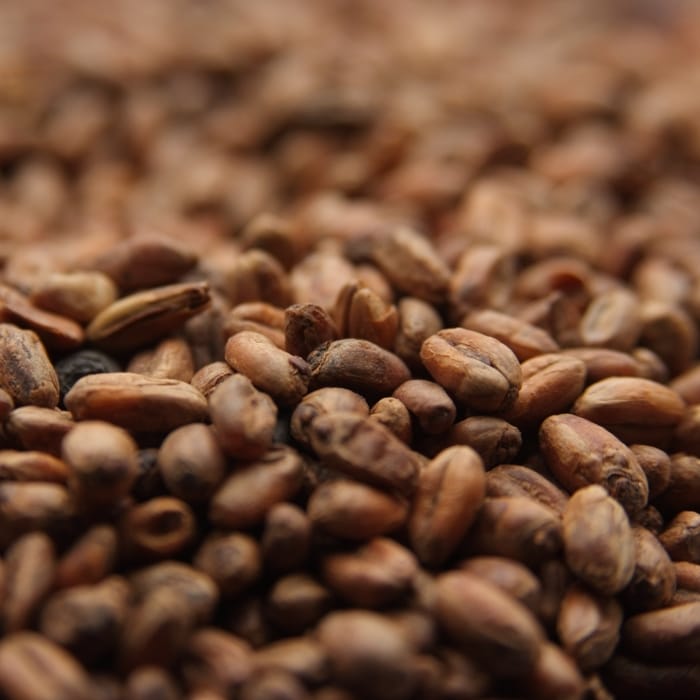 weyermann-carawheat-malt