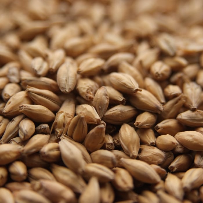 crisp-best-ale-malt