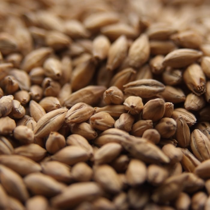crisp-finest-maris-otter-malt
