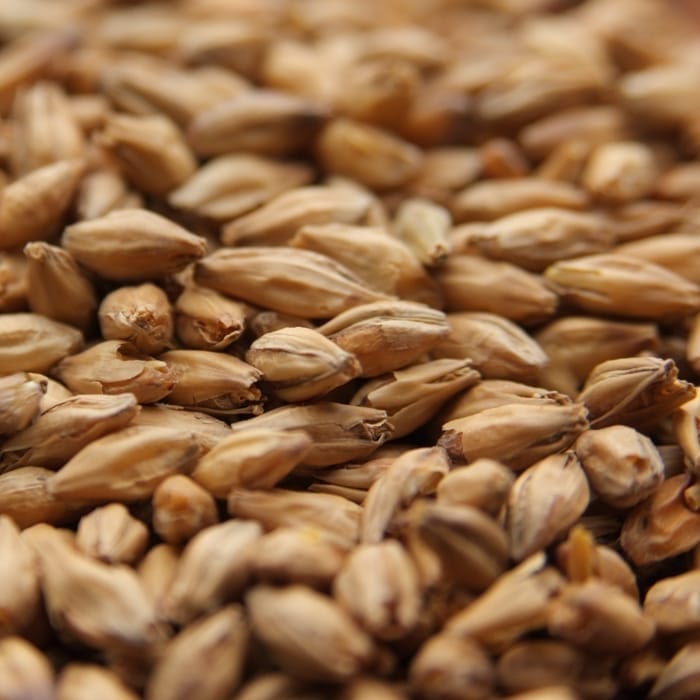 weyermann-beech-smoked-malt