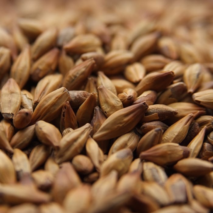 weyermann-caramunich-type-1-malt