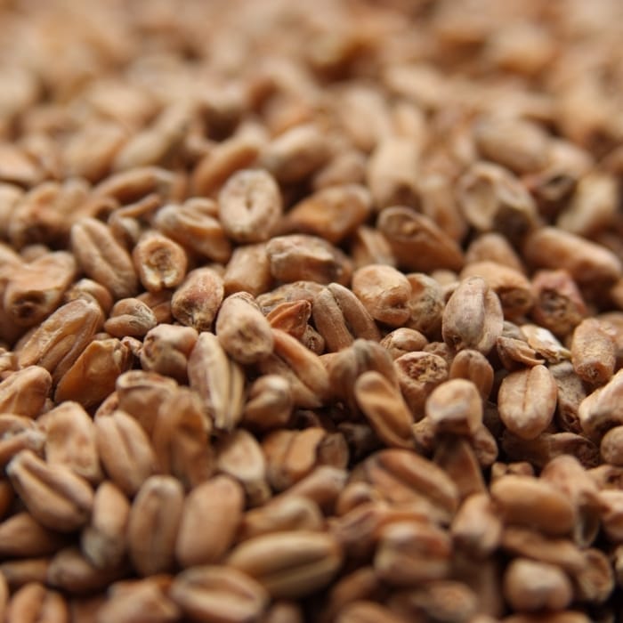 weyermann-dark-wheat-malt