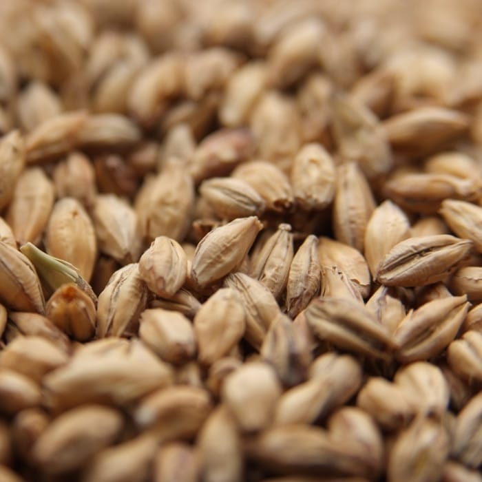 weyermann-pale-ale-malt