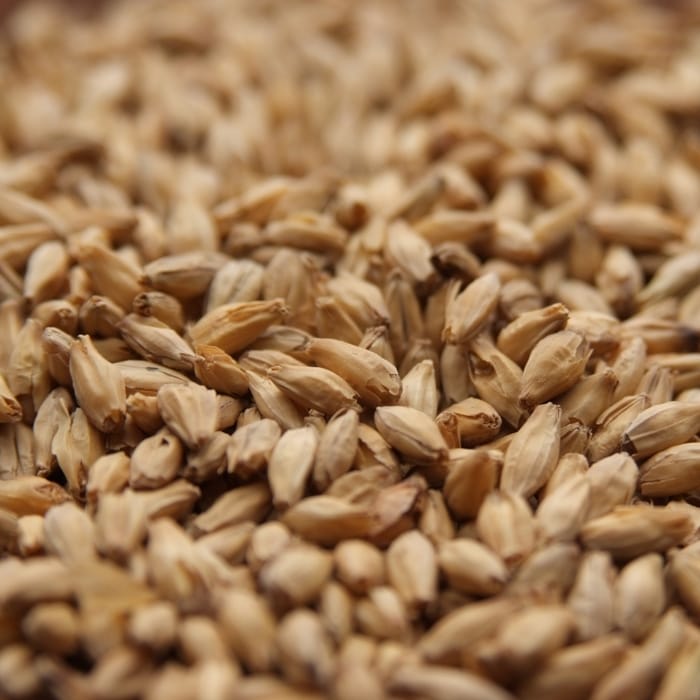 rahr-standard-6-row-malt