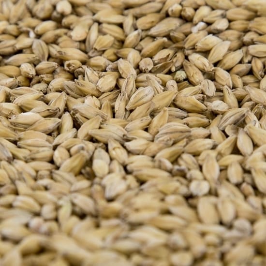 gambrinus-pale-malt