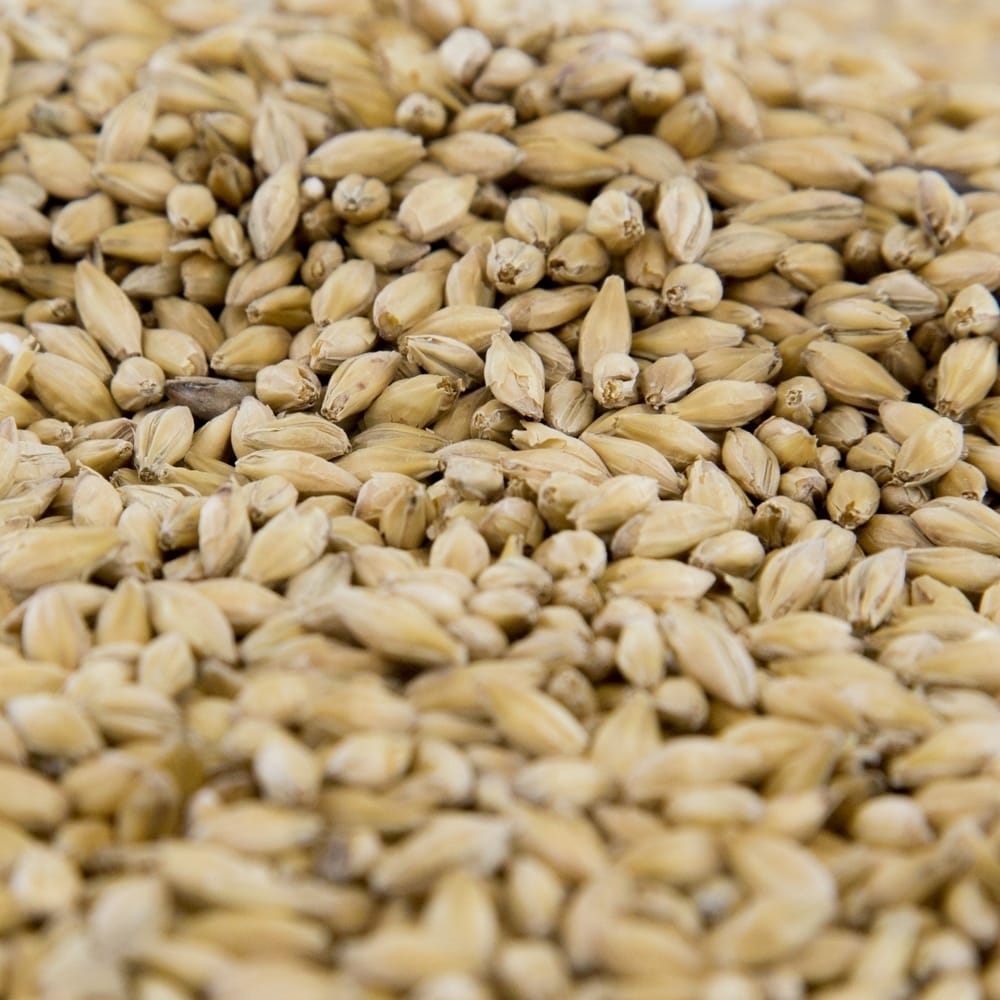 gambrinus-pilsner-malt