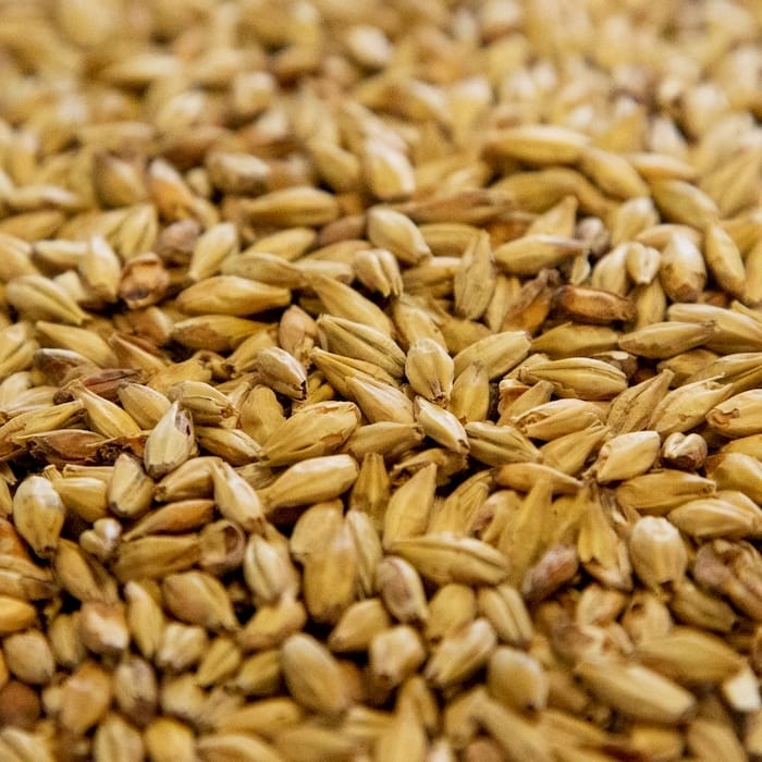 dingemans-aromatic-malt