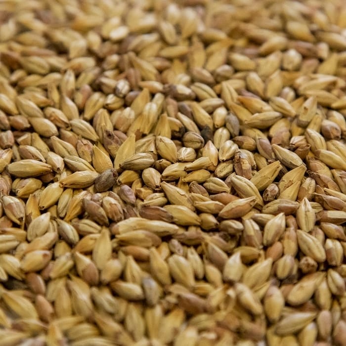 dingemans-biscuit-malt