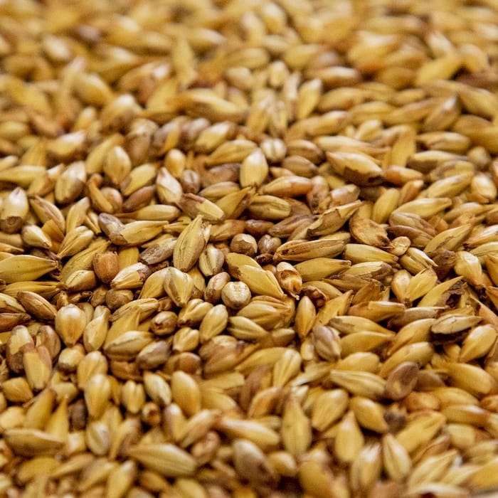 dingemans-cara-20-malt