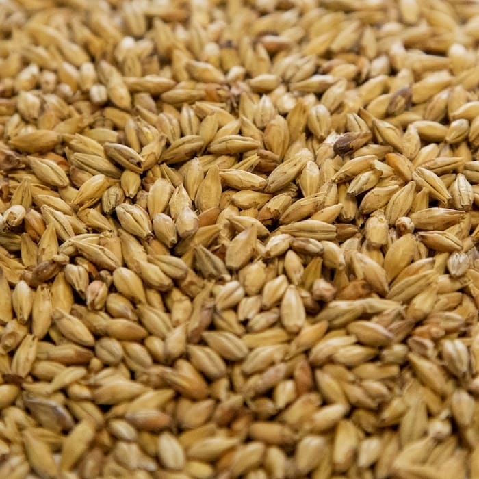 dingemans-munich-malt