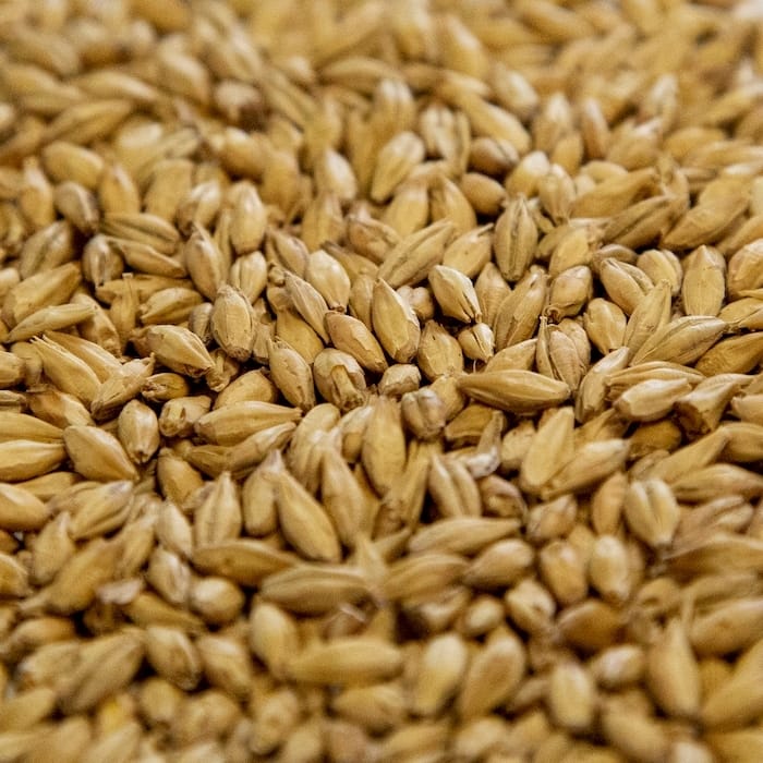 dingemans-pilsen-malt