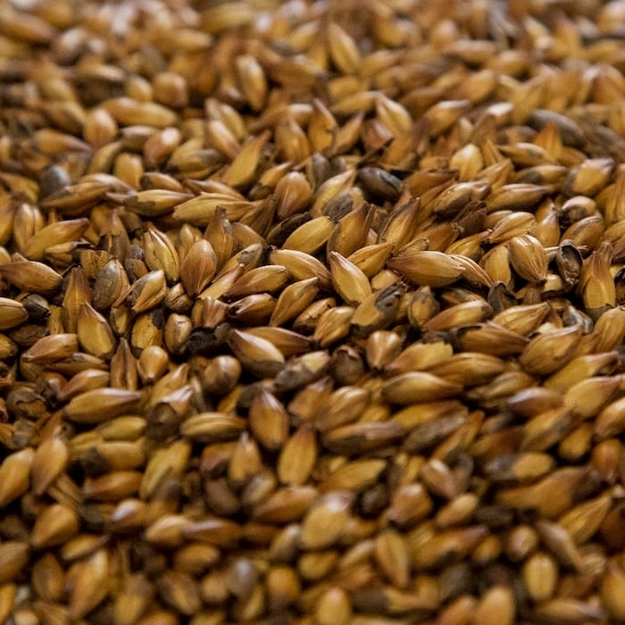 dingemans-special-b-malt