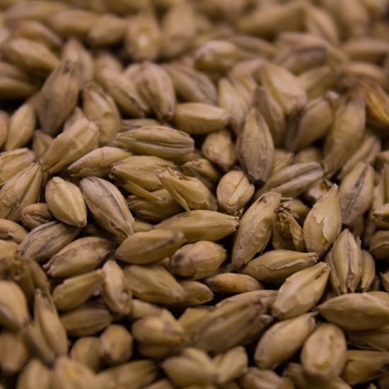 crisp-lager-malt