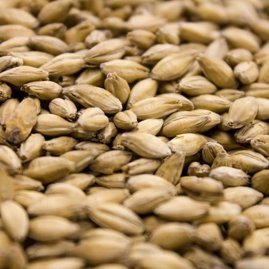 crisp-extra-pale-maris-otter-malt