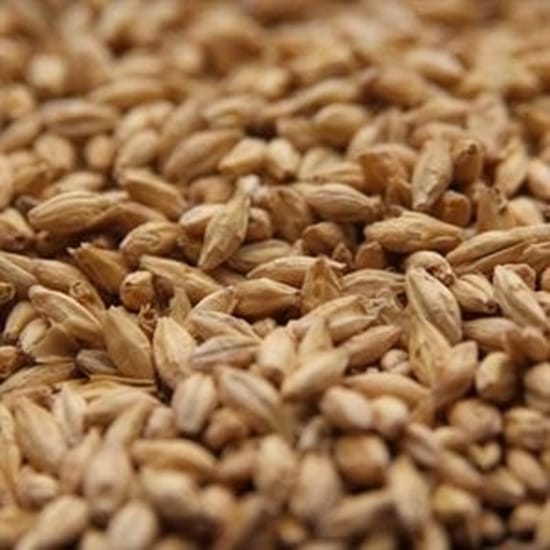 rahr-old-world-pilsner-malt