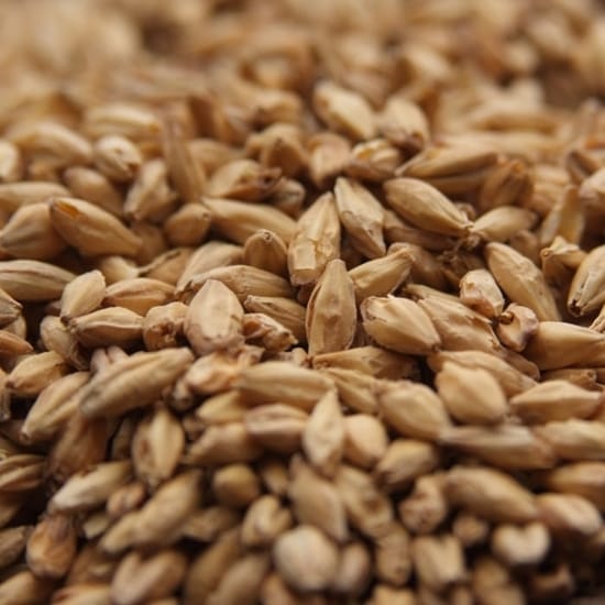 rahr-pale-ale-malt