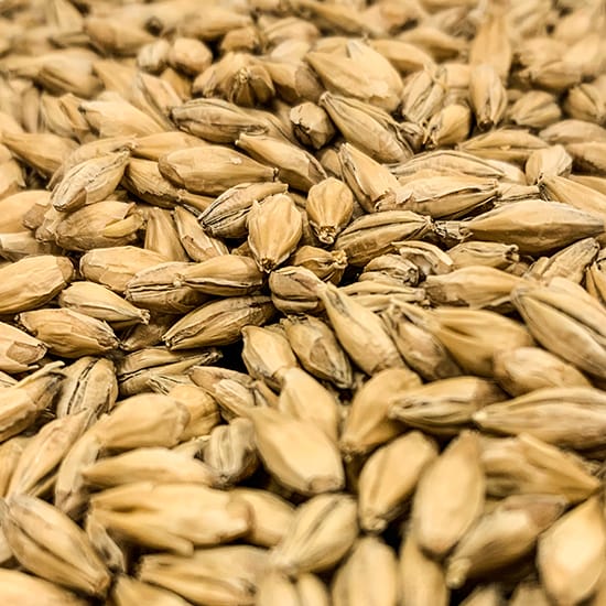rahr-dextrin-malt-malt