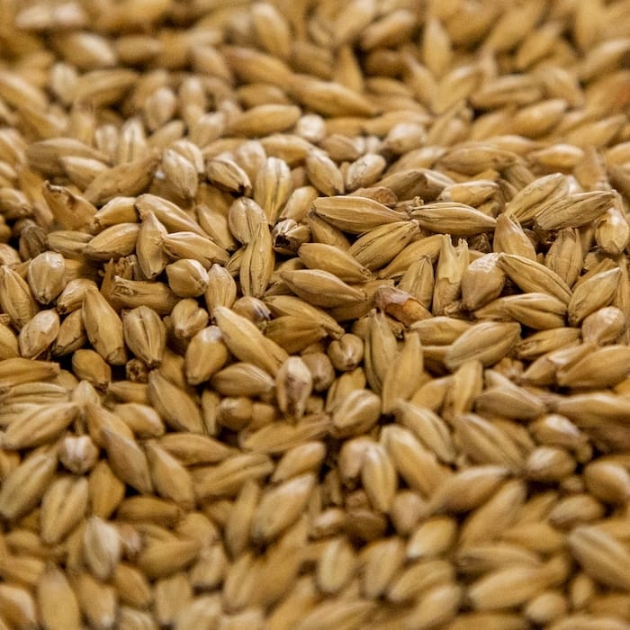 dingemans-pale-ale-malt
