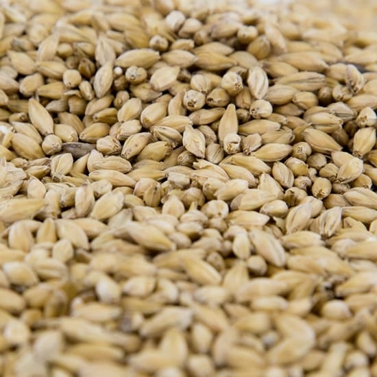 gambrinus-esb-malt