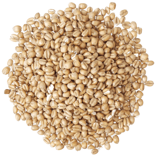 briess-torrified-wheat