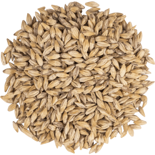 briess-carapils-malt