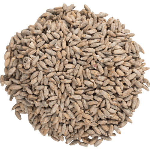 briess-rye-malt