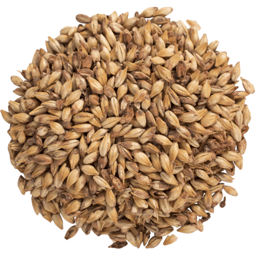 briess-caramel-40l-malt