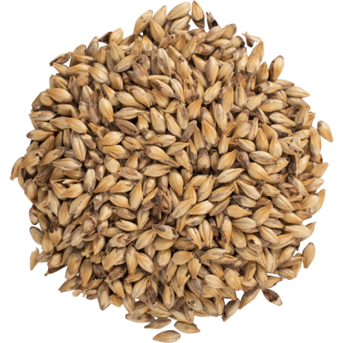 briess-caramel-80l-malt