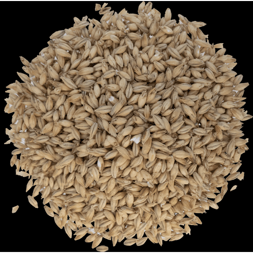 briess-pilsen-malt