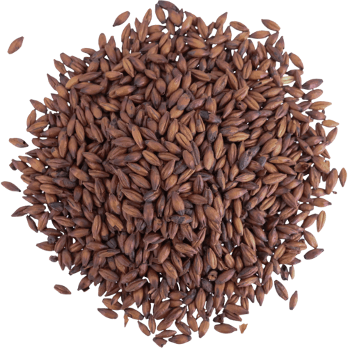 viking-malt-chocolate-dark-malt