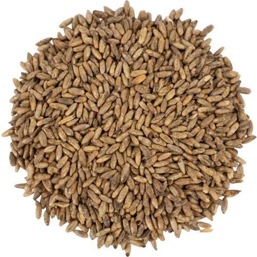 briess-caramel-rye-malt