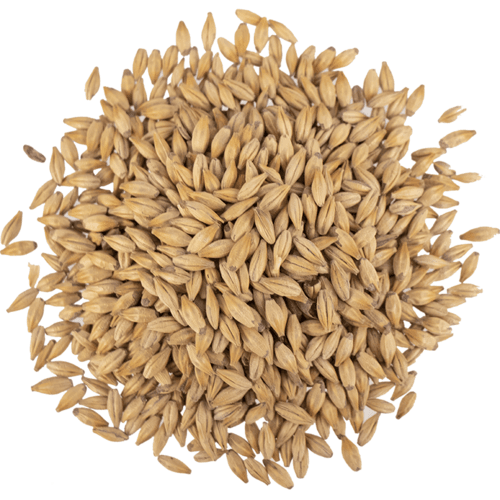 viking-malt-caramel-30-10l-malt