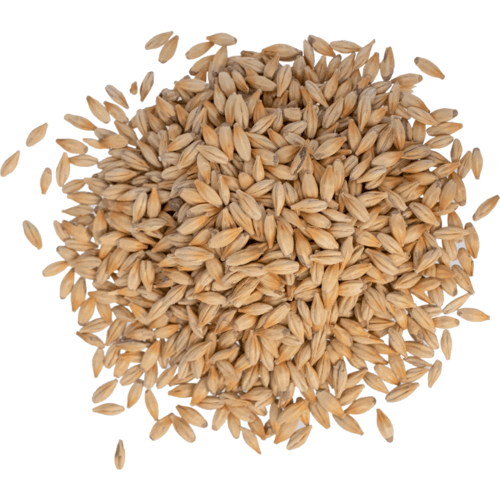 viking-malt-caramel-50-20l-malt